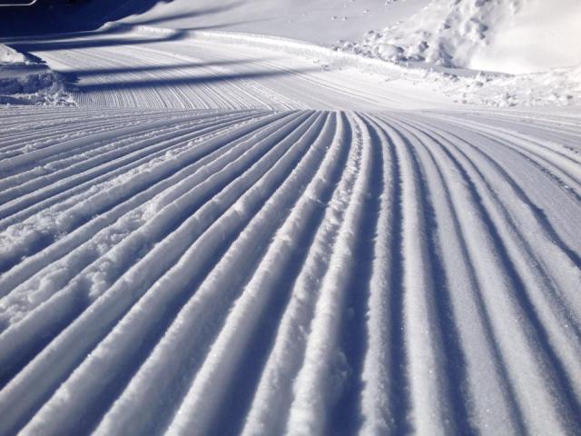 1920578_1013051448722721_8322671804602350401_n