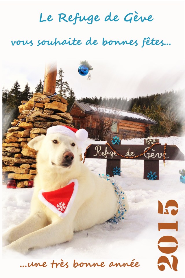 affiche fetes noel 2015